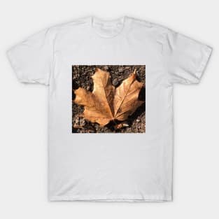 Orange leaf T-Shirt